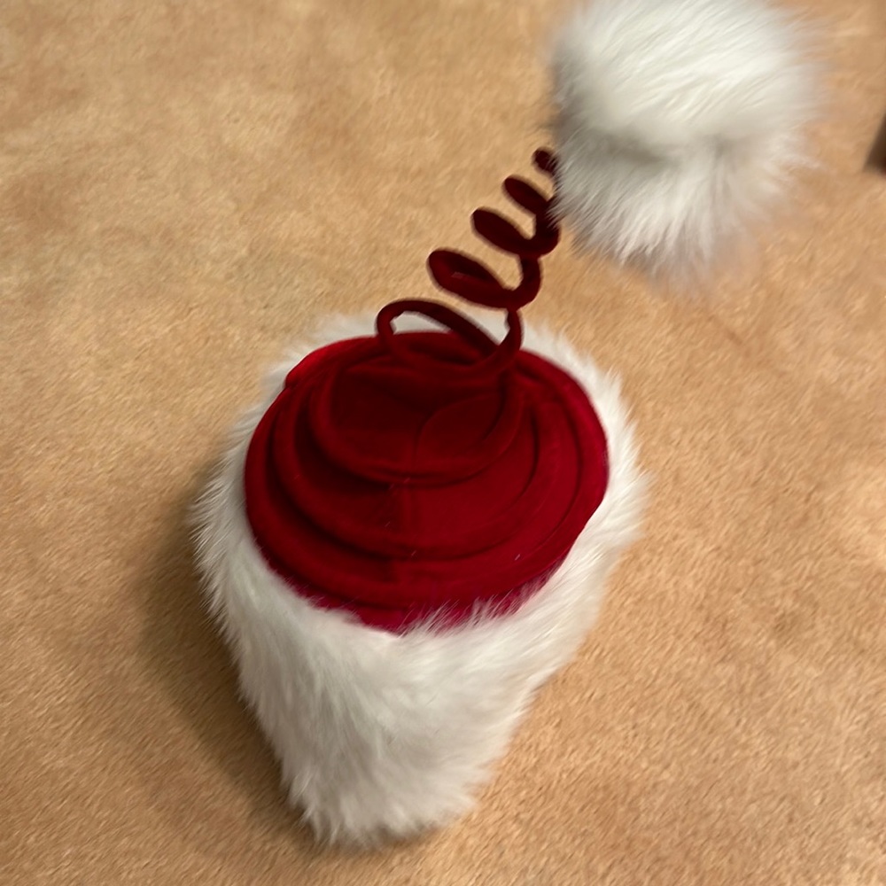 Christmas Hat